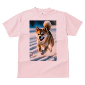 Č TVc  j[NfUCfB[X t@  t vg lJWA 킢 lԗp Mtg I ҏ΍  Č ~ AEghA