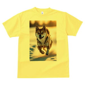 Č TVc  j[NfUCfB[X t@  t vg lJWA 킢 lԗp Mtg I ҏ΍  Č ~  