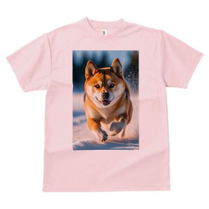 Č TVc  j[NfUCfB[X t@  t vg lJWA 킢 lԗp Mtg I ҏ΍  Č ~ AEghA