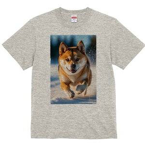 Č TVc  j[NfUCfB[X t@  t vg lJWA 킢 lԗp Mtg I ҏ΍  Č ~ AEghA