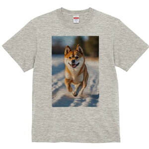 Č TVc  j[NfUCfB[X t@  t vg lJWA 킢 lԗp Mtg I ҏ΍  Č ~ Ί