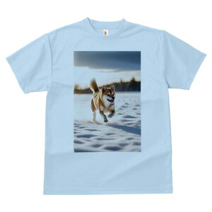 Č TVc  j[NfUCfB[X t@  t vg lJWA 킢 lԗp Mtg I ҏ΍  Č ~ i