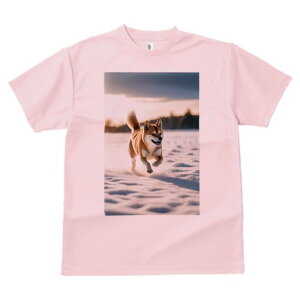 Č TVc  j[NfUCfB[X t@  t vg lJWA 킢 lԗp Mtg I ҏ΍  Č ~ i