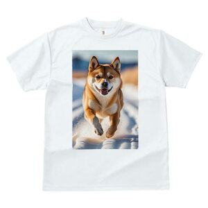 Č TVc  j[NfUCfB[X t@  t vg lJWA 킢 lԗp Mtg I ҏ΍  Č ~ Ί 