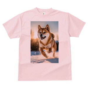 Č TVc  j[NfUCfB[X t@  t vg lJWA 킢 lԗp Mtg I ҏ΍  Č ~ 