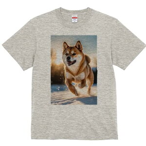 Č TVc  j[NfUCfB[X t@  t vg lJWA 킢 lԗp Mtg I ҏ΍  Č ~ 