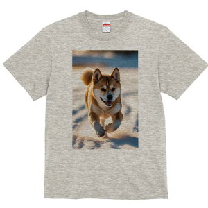 Hc TVc  j[NfUCfB[X t@  t vg lJWA 킢 lԗp Mtg I ҏ΍  Hc ~ AEghA