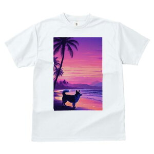 R[M[ TVc  j[NfUCfB[X t@  t vg lJWA 킢 lԗp Mtg I ҏ΍ r[` R[M[ C V̖ [Ă