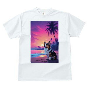 R[M[ TVc  j[NfUCfB[X t@  t vg lJWA 킢 lԗp Mtg I ҏ΍ r[` R[M[ [Ă V̖ C