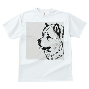 Hc TVc  j[NfUCfB[X t@  t vg lJWA 킢 lԗp Mtg I ҏ΍  Hc ybg  킢