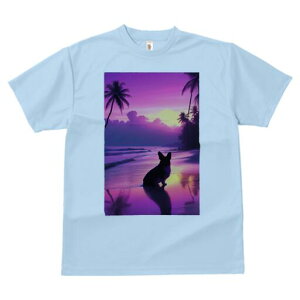 R[M[ TVc  j[NfUCfB[X t@  t vg lJWA 킢 lԗp Mtg I ҏ΍ r[` R[M[ [Ă C V̖