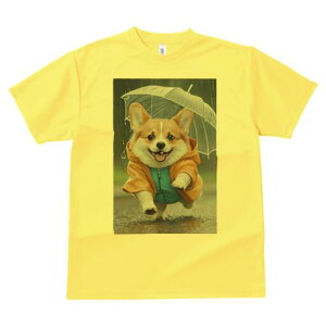 R[M[ TVc  j[NfUCfB[X t@  t vg lJWA 킢 lԗp Mtg I ҏ΍ J R[M[ P CR[g