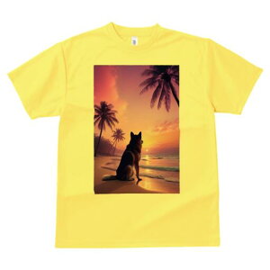 Hc TVc  j[NfUCfB[X t@  t vg lJWA 킢 lԗp Mtg I ҏ΍ r[` Hc [Ă V̖ C