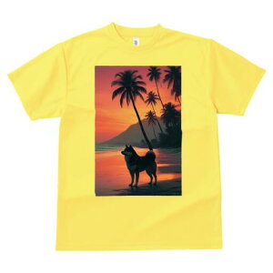 Hc TVc  j[NfUCfB[X t@  t vg lJWA 킢 lԗp Mtg I ҏ΍ r[` Hc V̖ [Ă C