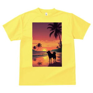 Hc TVc  j[NfUCfB[X t@  t vg lJWA 킢 lԗp Mtg I ҏ΍ r[` Hc [Ă V̖ C