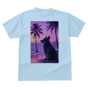 R[M[ TVc  j[NfUCfB[X t@  t vg lJWA 킢 lԗp Mtg I ҏ΍ r[` R[M[ V̖ [Ă C