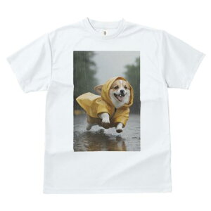 R[M[ TVc  j[NfUCfB[X t@  t vg lJWA 킢 lԗp Mtg I ҏ΍ J R[M[ CR[g F