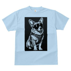 R[M[ TVc  j[NfUCfB[X t@  t vg lJWA 킢 lԗp Mtg I ҏ΍ TOX R[M[ n[lX