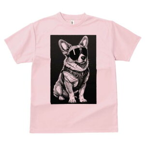 R[M[ TVc  j[NfUCfB[X t@  t vg lJWA 킢 lԗp Mtg I ҏ΍ TOX R[M[ n[lX