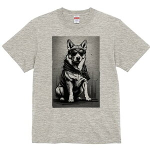 R[M[ TVc  j[NfUCfB[X t@  t vg lJWA 킢 lԗp Mtg I ҏ΍ TOX R[M[ xg