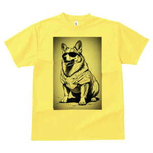 R[M[ TVc  j[NfUCfB[X t@  t vg lJWA 킢 lԗp Mtg I ҏ΍ TOX R[M[ 