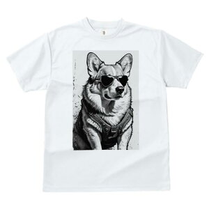 R[M[ TVc  j[NfUCfB[X t@  t vg lJWA 킢 lԗp Mtg I ҏ΍ TOX R[M[ n[lX