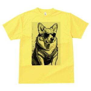 R[M[ TVc  j[NfUCfB[X t@  t vg lJWA 킢 lԗp Mtg I ҏ΍ TOX R[M[ n[lX