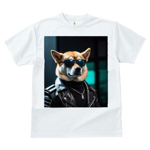 Č TVc  j[NfUCY LbY t@  t vg lJWA 킢 lԗp Mtg I ҏ΍ TOX Č vW lbNX