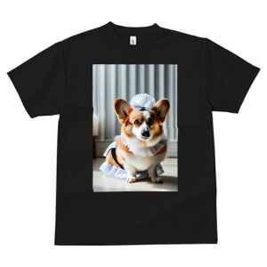 R[M[ TVc  j[NfUCfB[X t@  t vg lJWA 킢 lԗp Mtg I ҏ΍ Ch R[M[ [X