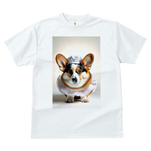 R[M[ TVc  j[NfUCfB[X t@  t vg lJWA 킢 lԗp Mtg I ҏ΍ Ch R[M[ Xq