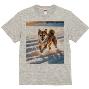 Č TVc  j[NfUCfB[X t@  t vg lJWA 킢 lԗp Mtg I ҏ΍  Č ~ z