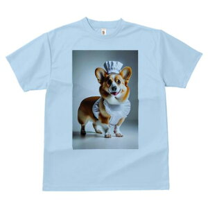 R[M[ TVc  j[NfUCfB[X t@  t vg lJWA 킢 lԗp Mtg I ҏ΍ RbNX R[M[ Gv