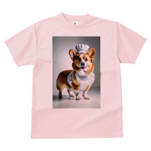 R[M[ TVc  j[NfUCY LbY t@  t vg lJWA 킢 lԗp Mtg I ҏ΍ RbNX R[M[ Gv