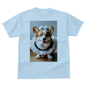 R[M[ TVc  j[NfUCfB[X t@  t vg lJWA 킢 lԗp Mtg I ҏ΍ t R[M[ Xq