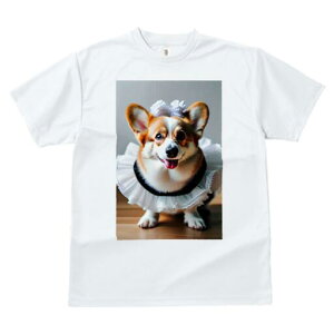 R[M[ TVc  j[NfUCfB[X t@  t vg lJWA 킢 lԗp Mtg I ҏ΍ t R[M[ Xq