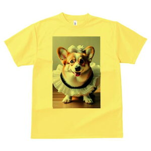 R[M[ TVc  j[NfUCfB[X t@  t vg lJWA 킢 lԗp Mtg I ҏ΍ t R[M[ Xq
