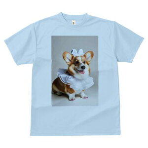 R[M[ TVc  j[NfUCfB[X t@  t vg lJWA 킢 lԗp Mtg I ҏ΍ { R[M[ t