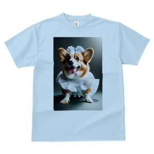 R[M[ TVc  j[NfUCfB[X t@  t vg lJWA 킢 lԗp Mtg I ҏ΍ t R[M[ Xq