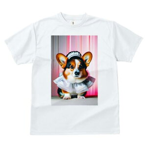 R[M[ TVc  j[NfUCfB[X t@  t vg lJWA 킢 lԗp Mtg I ҏ΍ Ch R[M[ Xq