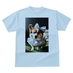 R[M[ TVc  j[NfUCfB[X t@  t vg lJWA 킢 lԗp Mtg I ҏ΍ { R[M[ t