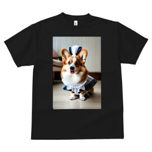 R[M[ TVc  j[NfUCfB[X t@  t vg lJWA 킢 lԗp Mtg I ҏ΍ Ch R[M[ t