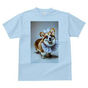 R[M[ TVc  j[NfUCfB[X t@  t vg lJWA 킢 lԗp Mtg I ҏ΍ { R[M[ t