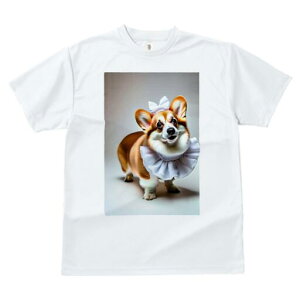 R[M[ TVc  j[NfUCfB[X t@  t vg lJWA 킢 lԗp Mtg I ҏ΍ { R[M[ t