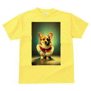 R[M[ TVc  j[NfUCfB[X t@  t vg lJWA 킢 lԗp Mtg I ҏ΍ { R[M[