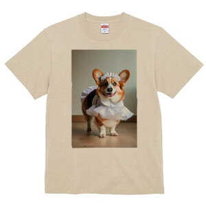 R[M[ TVc  j[NfUCfB[X t@  t vg lJWA 킢 lԗp Mtg I ҏ΍ Ch R[M[