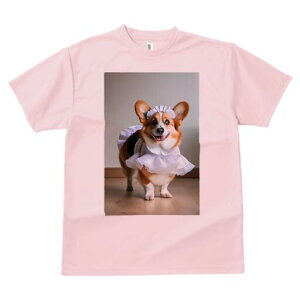 R[M[ TVc  j[NfUCfB[X t@  t vg lJWA 킢 lԗp Mtg I ҏ΍ Ch R[M[