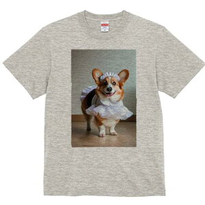 R[M[ TVc  j[NfUCfB[X t@  t vg lJWA 킢 lԗp Mtg I ҏ΍ Ch R[M[