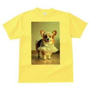 R[M[ TVc  j[NfUCfB[X t@  t vg lJWA 킢 lԗp Mtg I ҏ΍ Ch R[M[