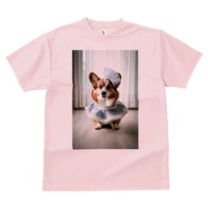 R[M[ TVc  j[NfUCfB[X t@  t vg lJWA 킢 lԗp Mtg I ҏ΍ Ch R[M[ Xq