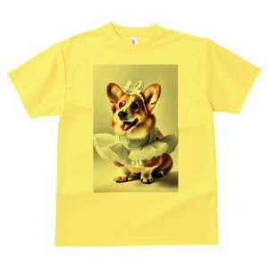 R[M[ TVc  j[NfUCfB[X t@  t vg lJWA 킢 lԗp Mtg I ҏ΍ Ch R[M[ {